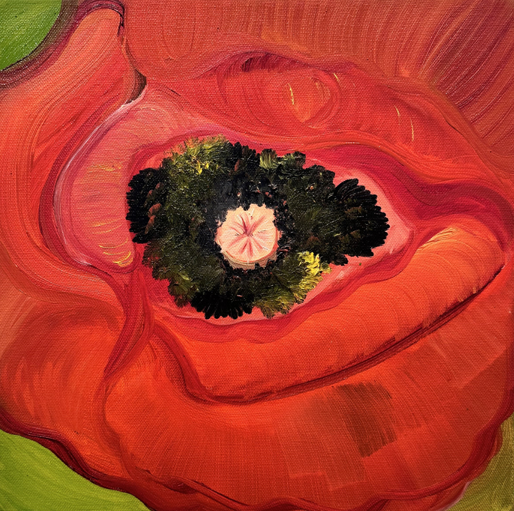 Poppy